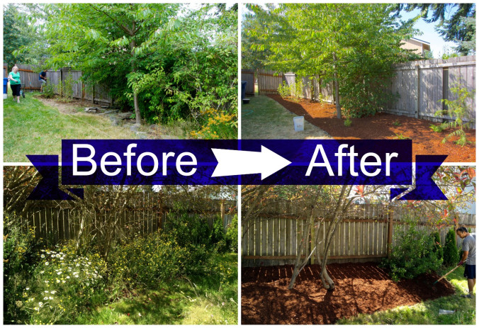 Before and After backyard | Intentional Travelers